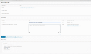 VCF 5.1 API Explorer Network Query